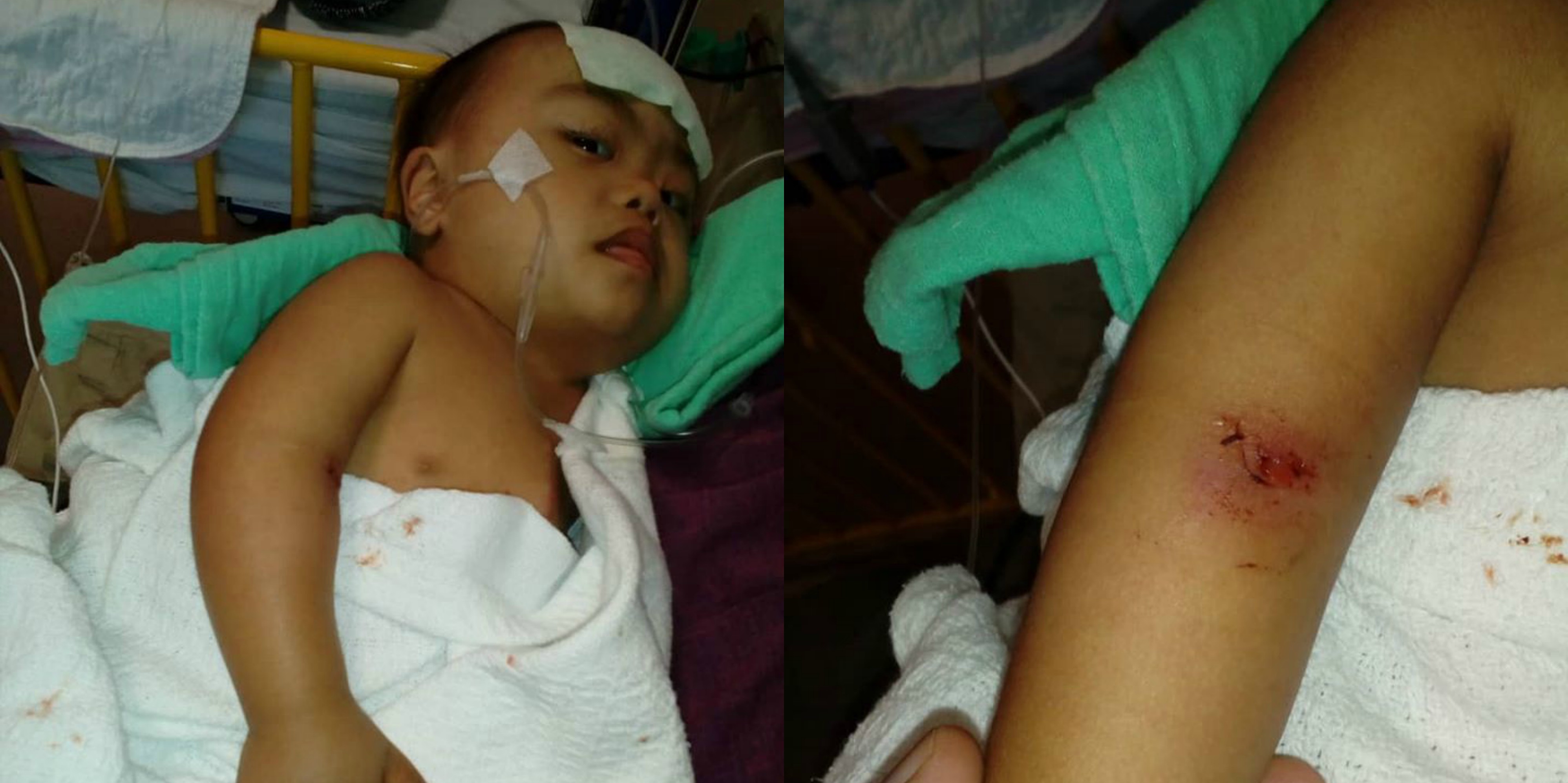 Moga Selamat Kembali! Ini Foto Pemangku Raja Pahang, Tengku Hassanal Jalani Kursus Ketenteraan Di UK