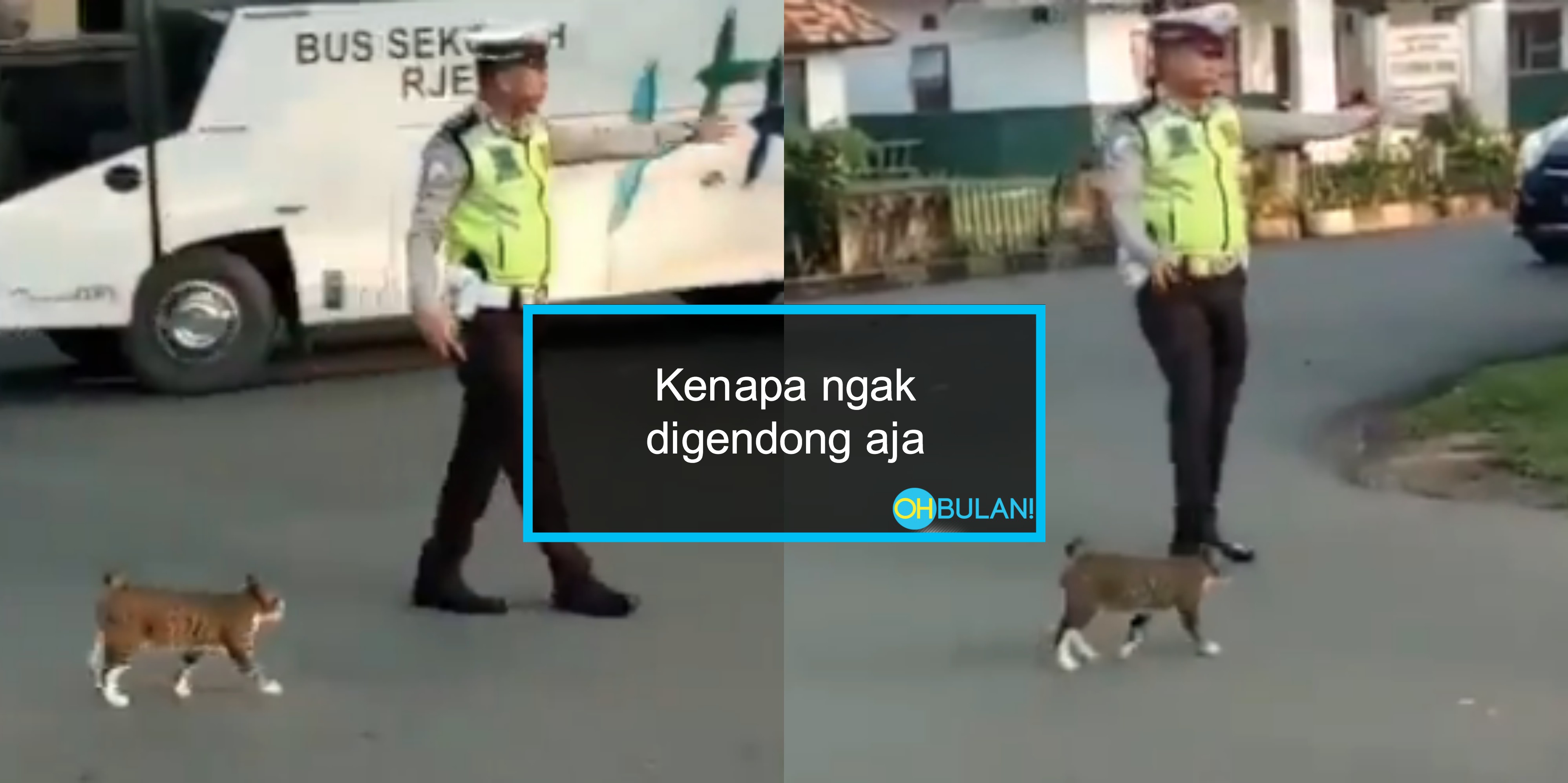 [VIDEO] Aksi Kucing Ini Diberi 'Penghormatan' Untuk 