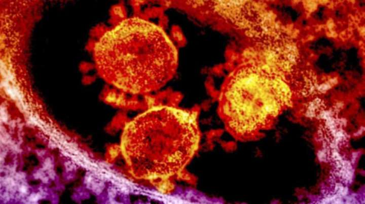 Malaysia Masih Bebas Wabak Koronavirus, Ujian Terhadap Kesemua Empat Pesakit Disahkan Negatif