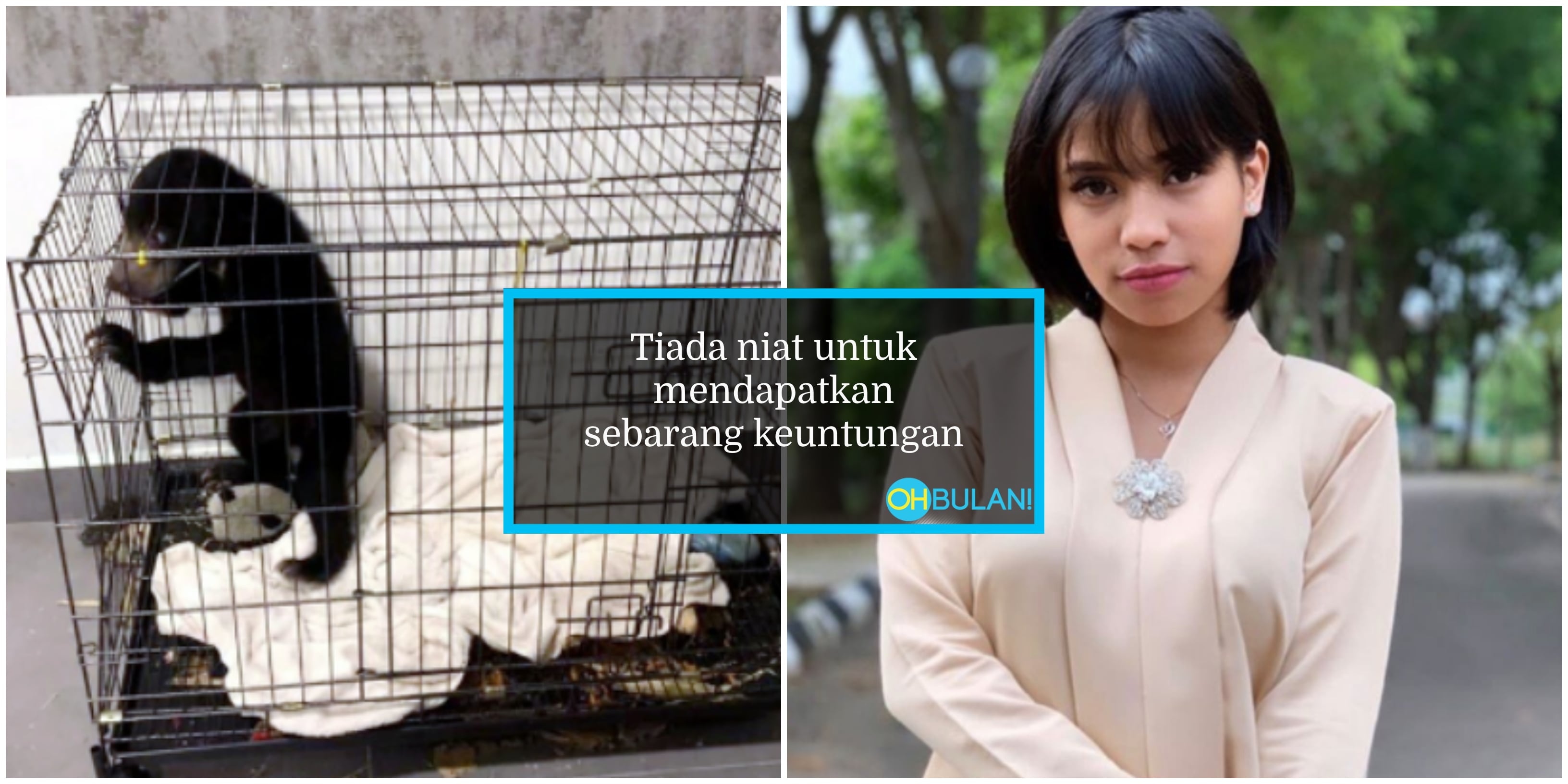 Zarith Sofea Didenda RM27k Didapati Bersalah Kurung Anak Beruang Matahari