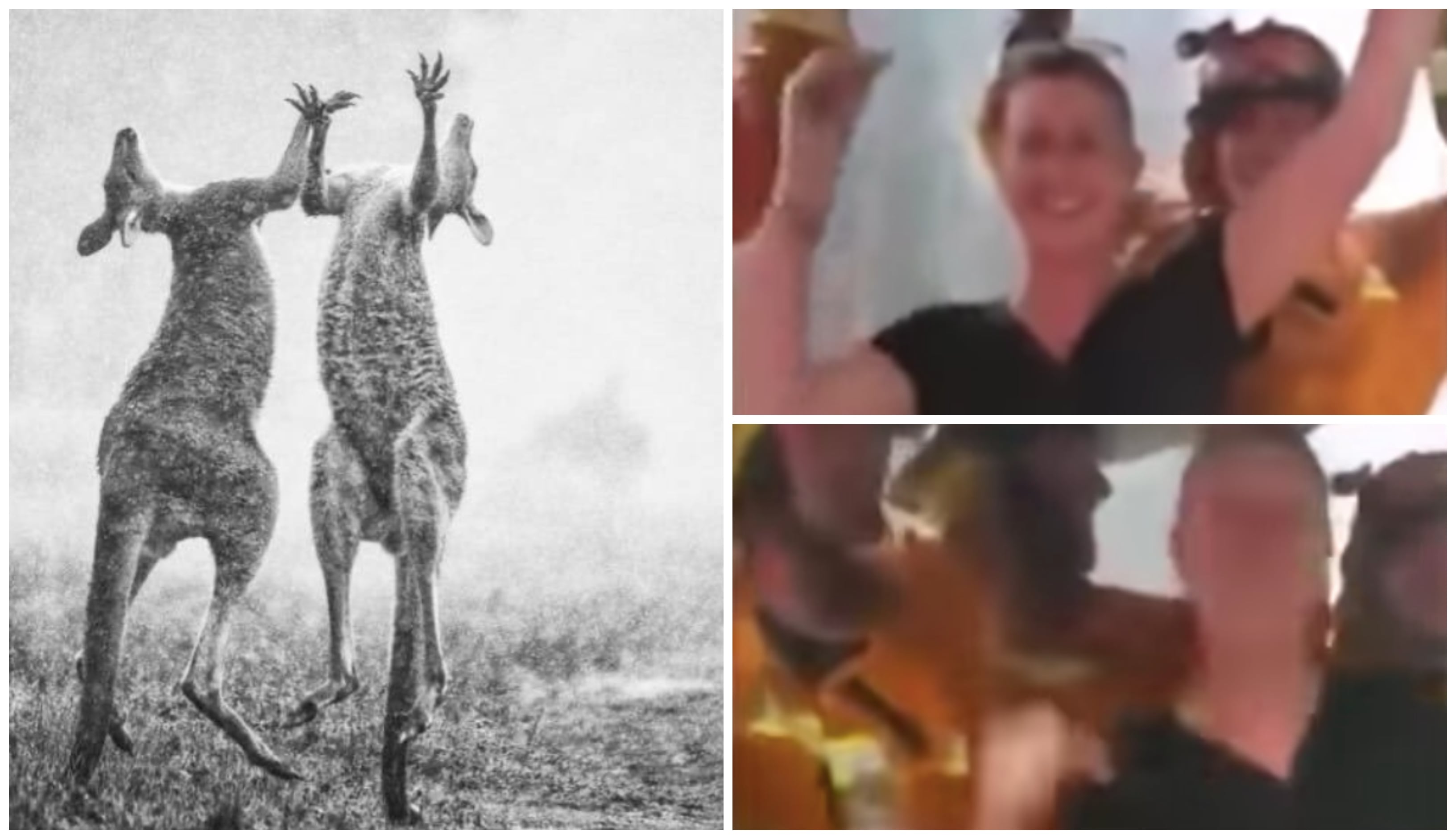 [VIDEO] Derita Langit Merah Darah, Akhirnya Hujan Membasahi Bumi Australia