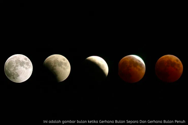 Bulan Mengambang Tahun 2020 Gerhana Wolf Moon Jadi Tumpuan Dunia