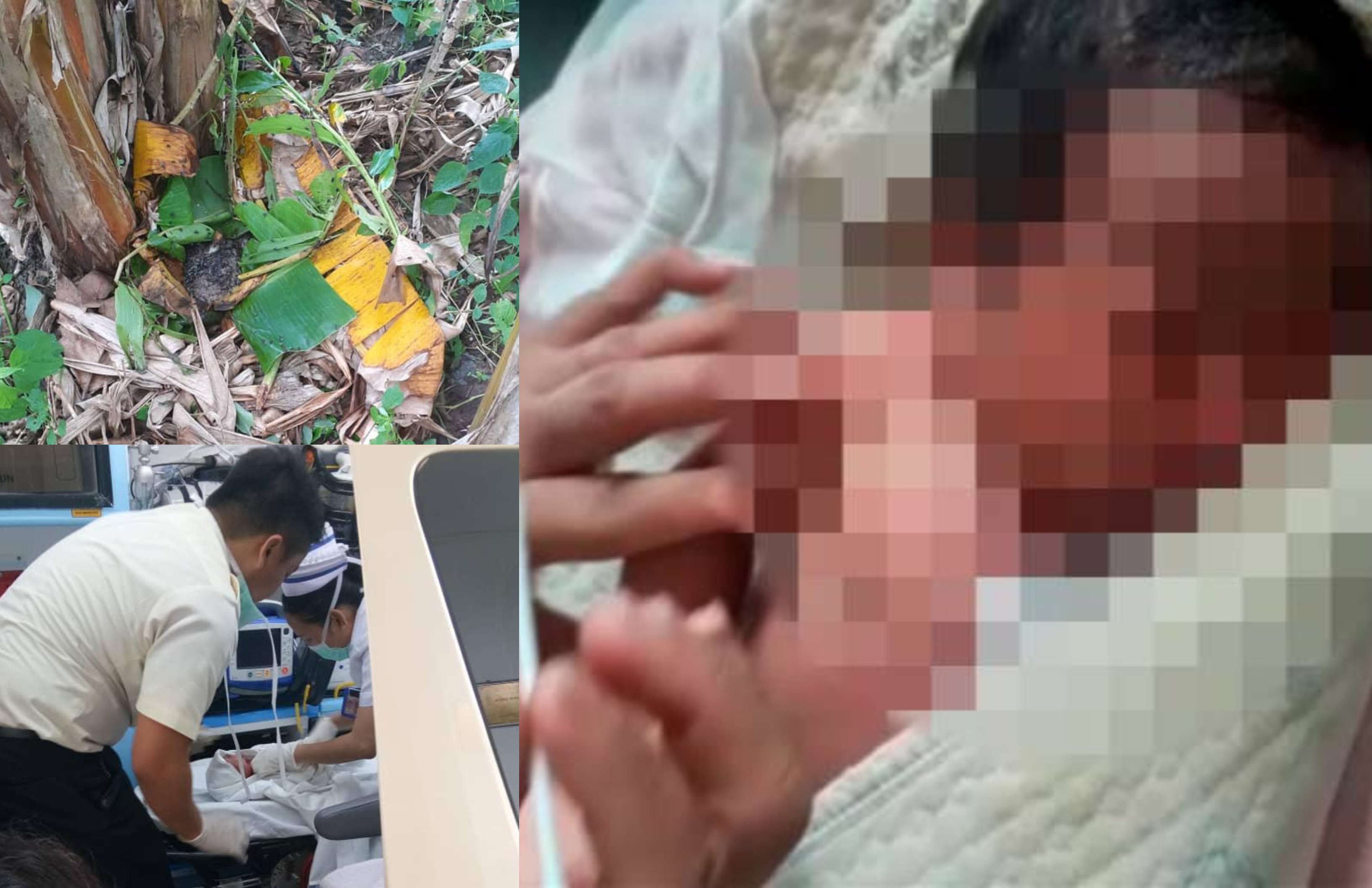 Dengar Suara Tangisan, Petani Terkejut Jumpa Bayi Masih Bertali Pusat ‘Dibuang’ Di Celah Semak