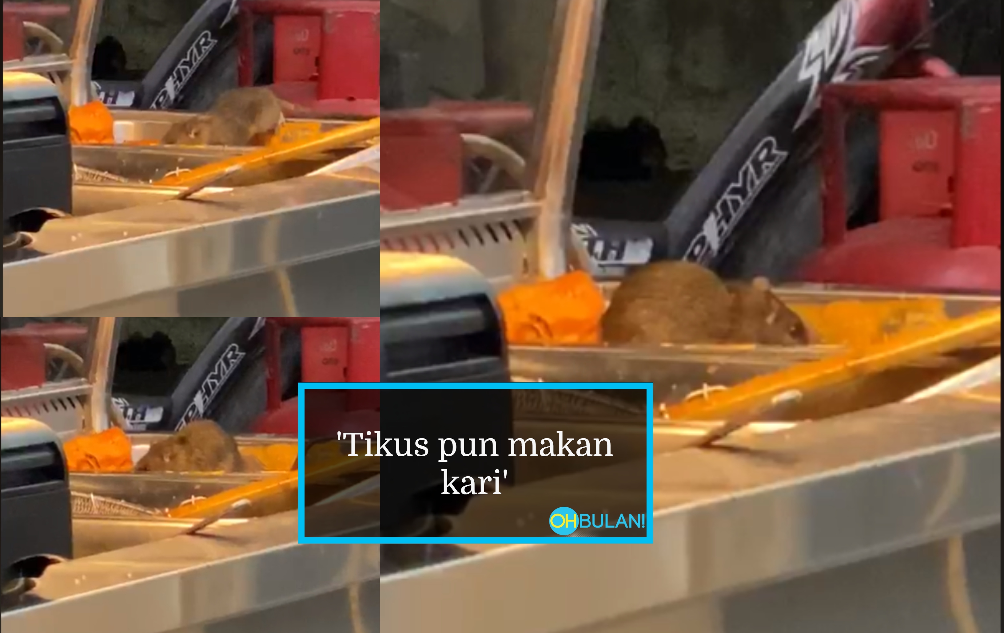 [VIDEO] ‘Patutlah Tikus Sekarang Obesiti’ – Bekas Makanan Terdedah, Tikus Seronok Makan Lauk Kedai Mamak