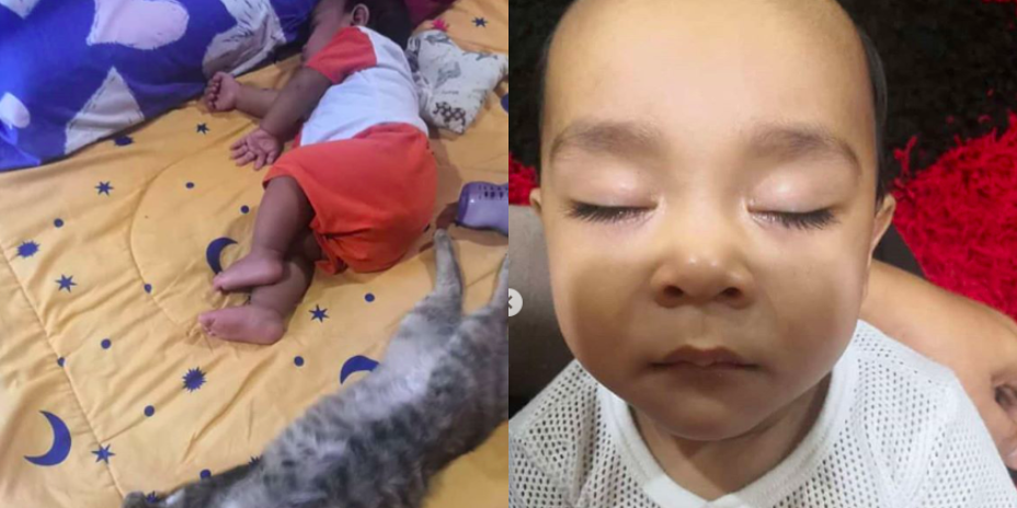 ‘Dia Nak Belikan Kucing, Tapi Tak Kesampaian’ – Kehadiran Kucing ‘Misteri’ Temani Anak Arwah Abam Undang Sebak