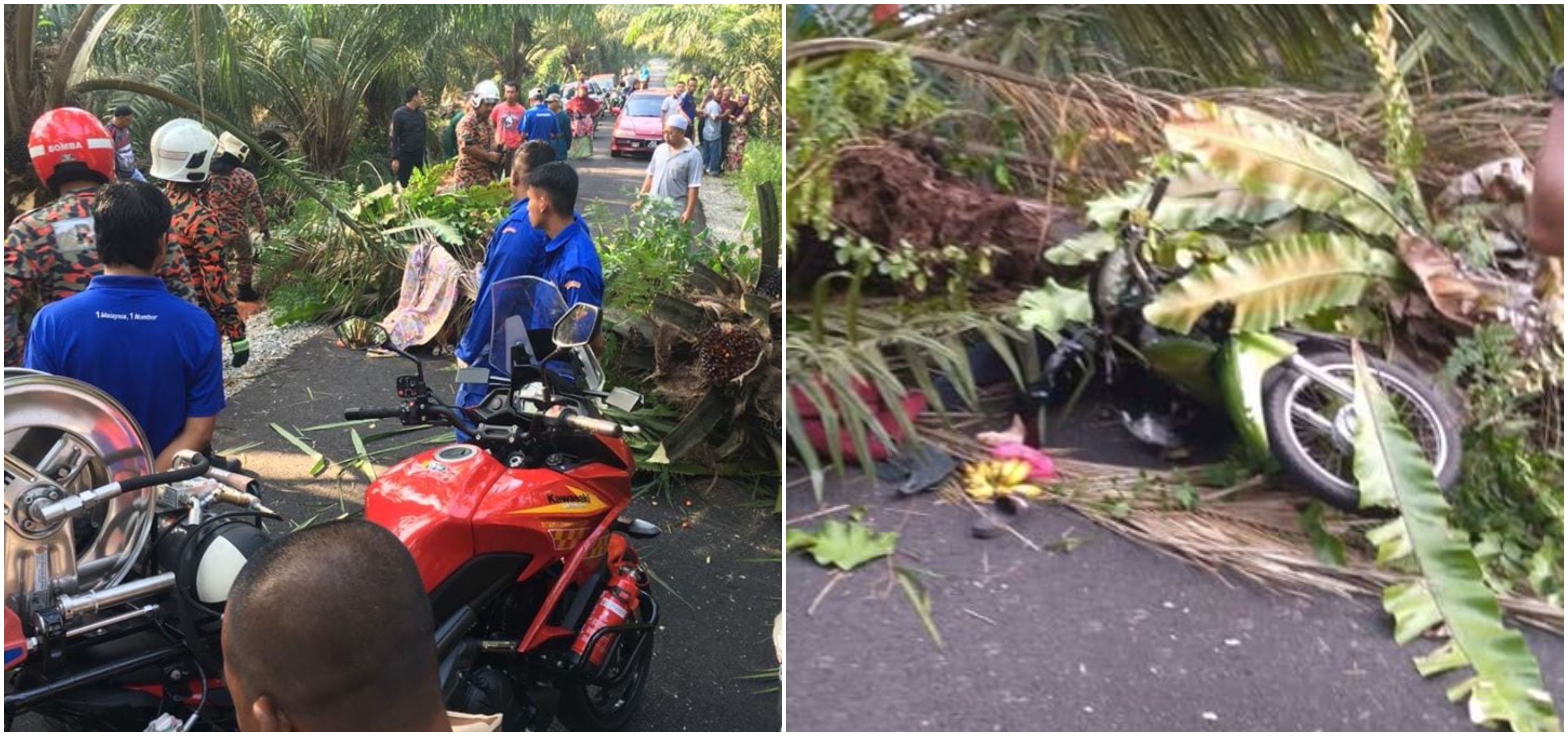 renungan kejadian 2 8 17 Kasih Ibu Hingga ke Syurga 3 Beranak Maut Dihempap Pokok 