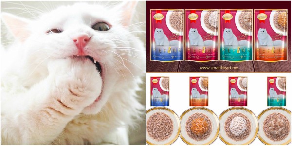 2000 Sampel SmartHeart REFINE Menanti Si Comel Korang. Hanya Follow 3 Langkah Mudah Ini!