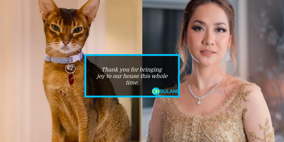 Selepas Dua Bulan Ashraf Sinclair Meninggal Dunia, Giliran Kucing Kesayangan ‘Ikut Pergi’
