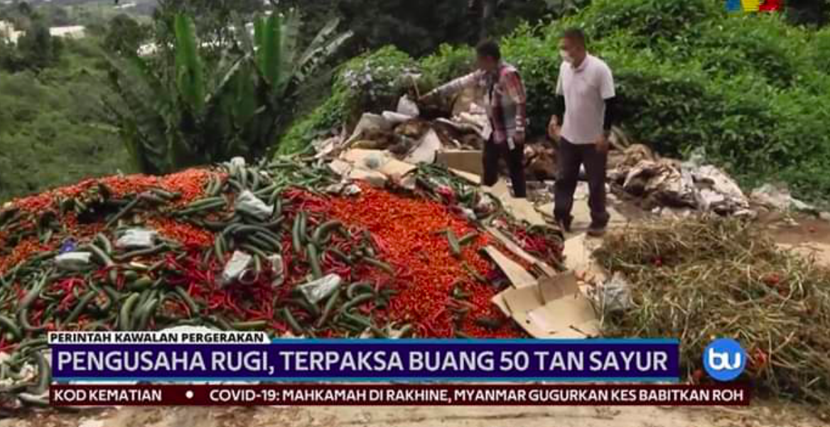 ‘Membazir Betul’ – Netizen Terkilan Pengusaha Sayur Di Kelantan Buang 50 Tan Sayur Setiap Hari
