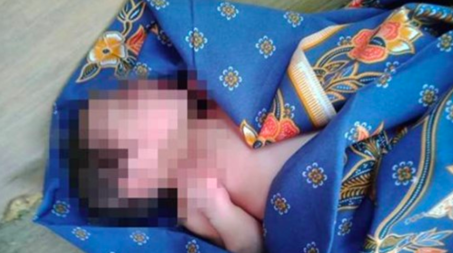 Ingatkan Anak Kucing, Rupa-Rupanya…