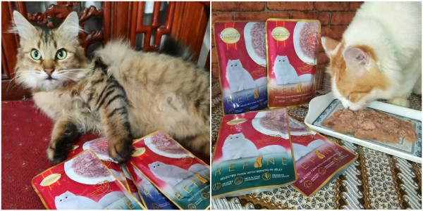 DINE REFINE: Kongsi Gambar Si Comel, Komen & Menang!