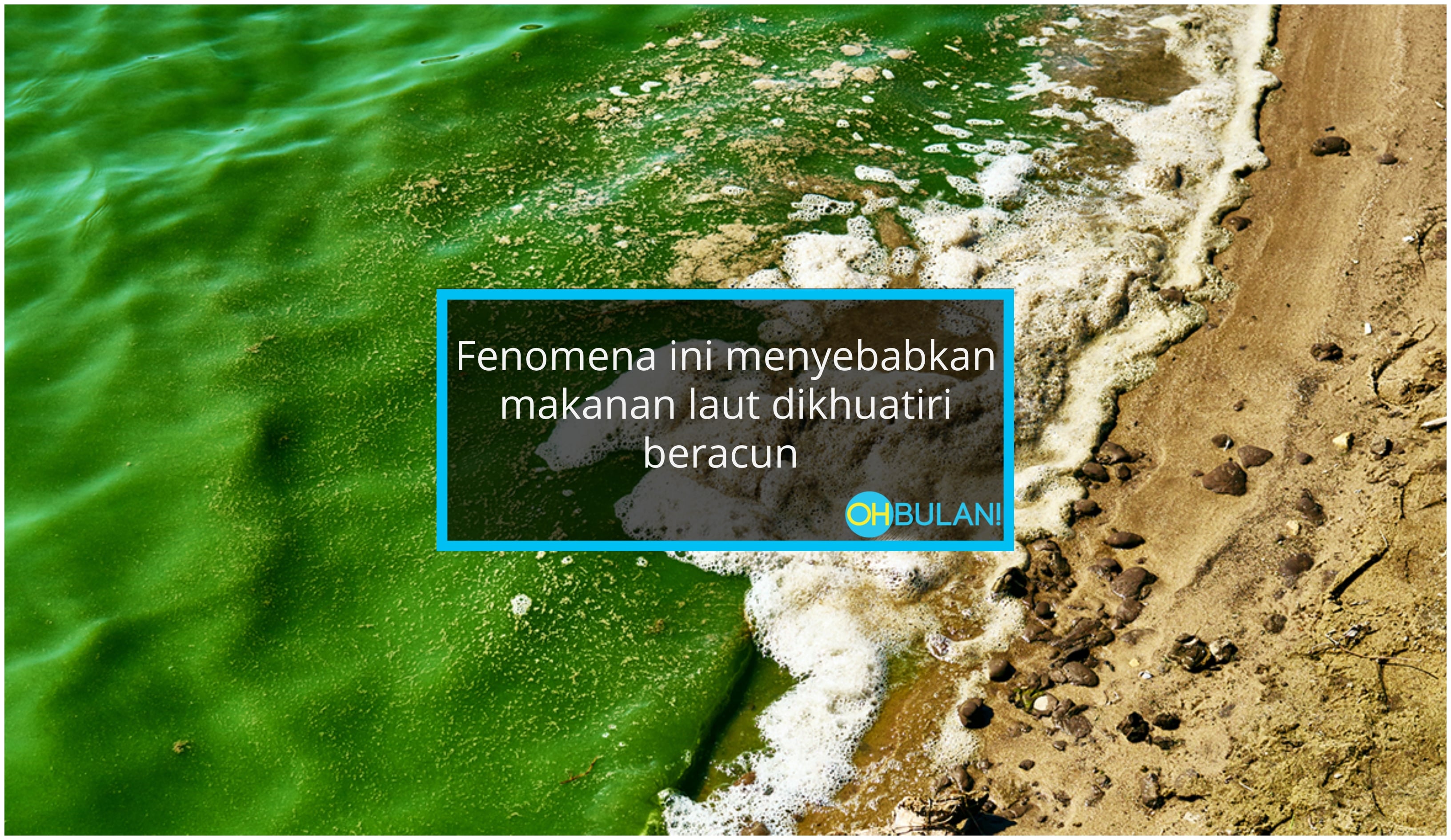 ‘Kebas Mulut, Mual & Lumpuh Otot Dada’ – Kesan Daripada Alga Beracun