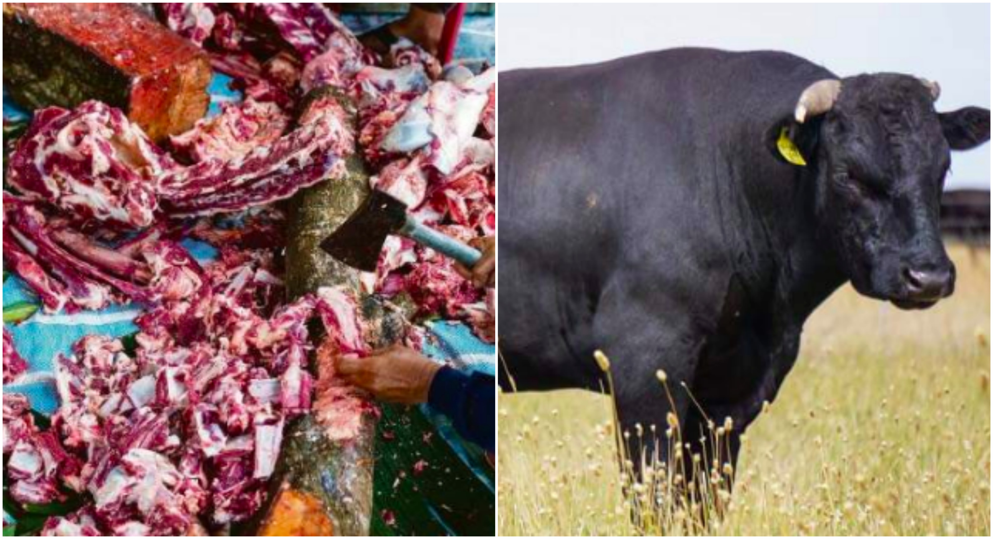 Satu Bahagian Cecah RM30 Ribu, Ibadah Korban Daging Wagyu Untuk Golongan ‘Kayangan’