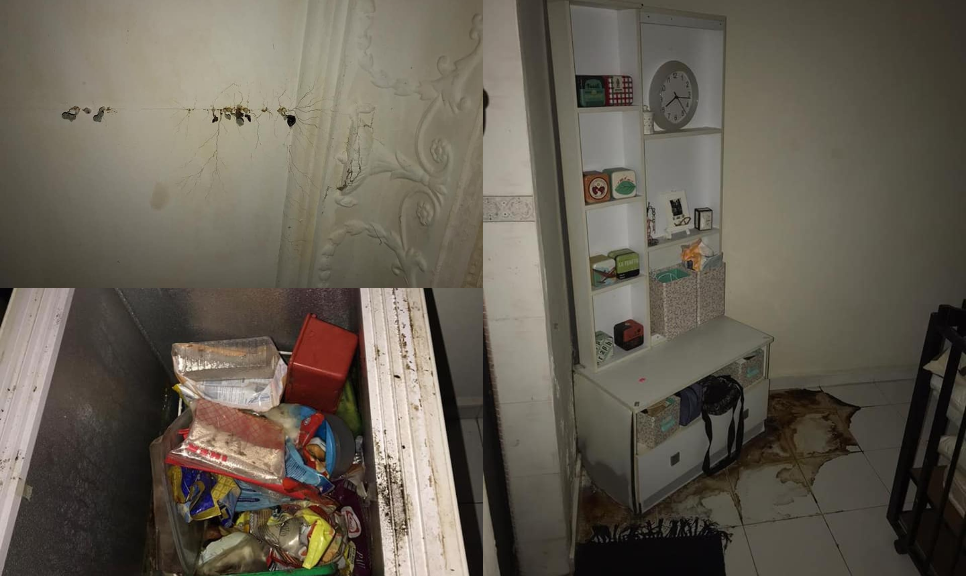 ‘Benda Tu Mesti Mai Punya’ – 3 Bulan Tinggal Rumah, Lihat Apa Jadi Sekembalinya Dari Kampung…