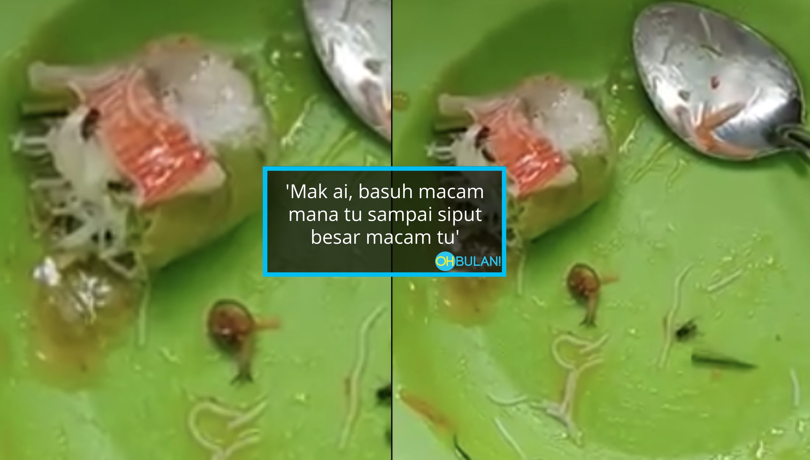 [VIDEO] ‘Nasib Tak Tertelan!’ – Terkejut Beli Vietnam Roll Dapat Siput Hidup