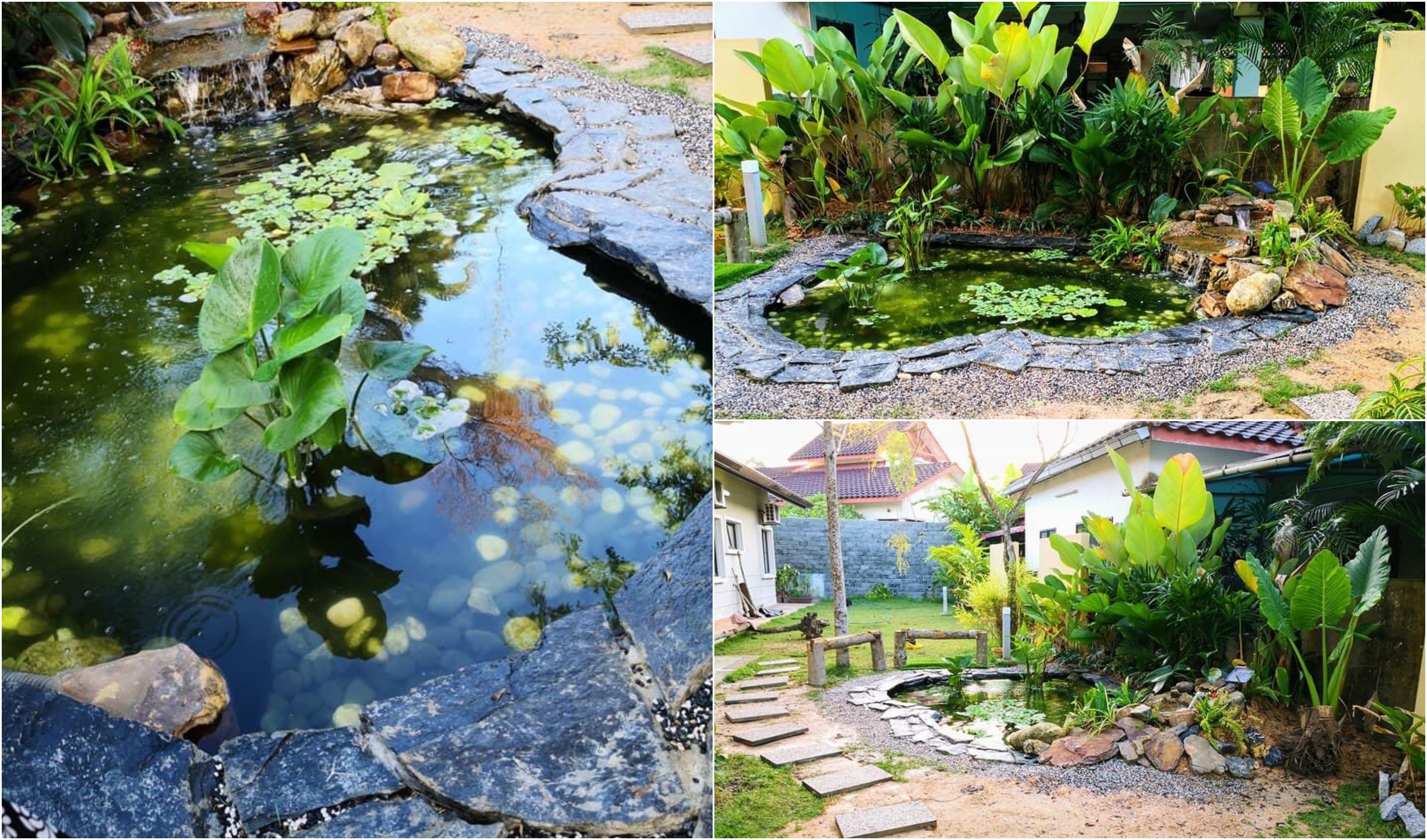 Atas Permintaan Ibu, Lelaki Ini Hasilkan Landskap Kolam Ikan Sendiri Dengan Bajet RM2 Ribu