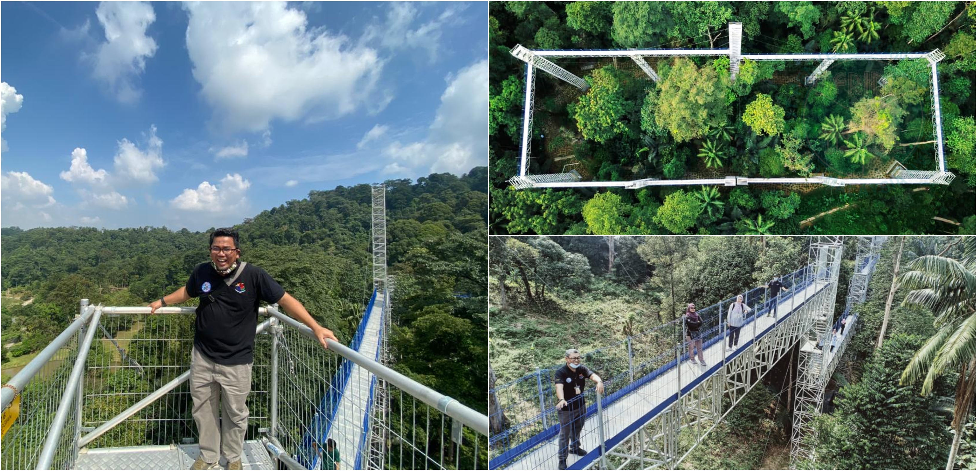 Dapat Lihat Pemandangan KL, Forest Skywalk FRIM Bakal Dibuka 31 Ogos