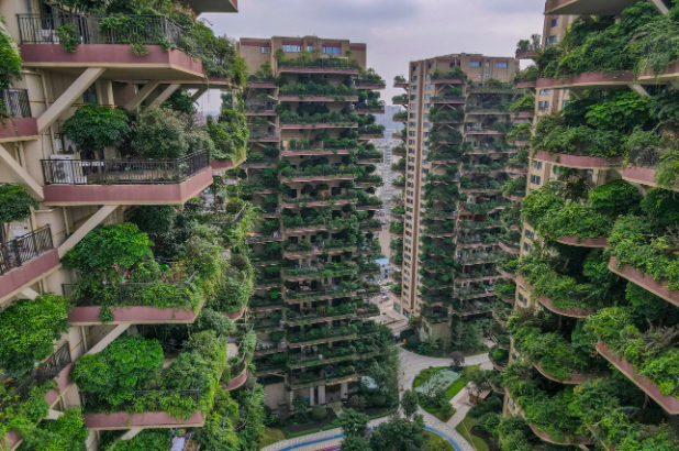 Sikap Sambil Lewa Jaga Apartment Undang ‘Syurga’ Nyamuk