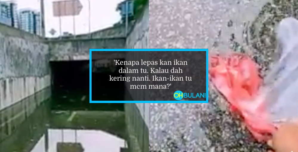 [VIDEO] Berang Laluan Motor Selalu ‘Banjir’, Lelaki Lepaskan Anak-Anak Ikan, Anjur Pertandingan Memancing