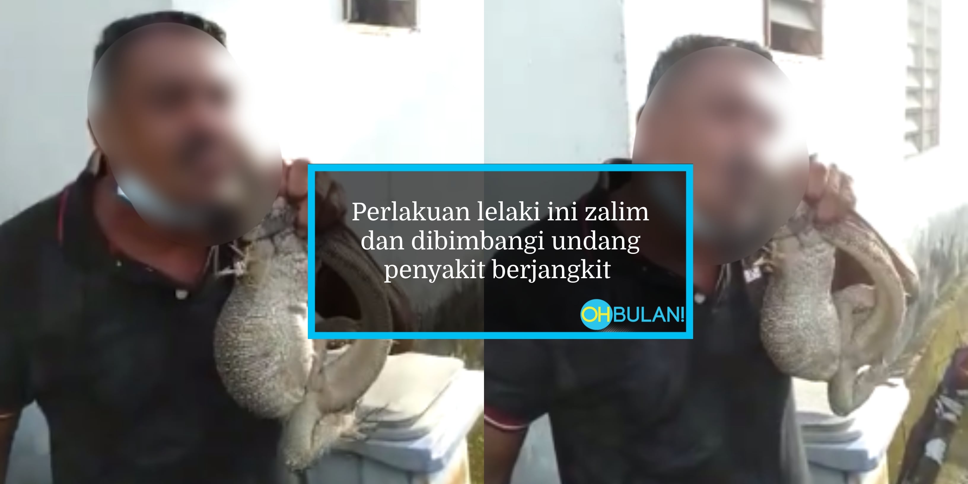 Tidak Dapat Diterima Akal, Lelaki Ratah Biawak Hidup-Hidup!
