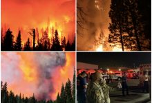 Gara-Gara Majlis ‘Gender Reveal’ Bayi, 8,600 Ekar Hutan Marak Dijilat Api!