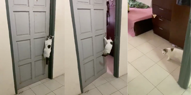[VIDEO] Curiga Pintu Bilik Selalu Terbuka Sendiri, Rupanya Kerja ‘Dia’