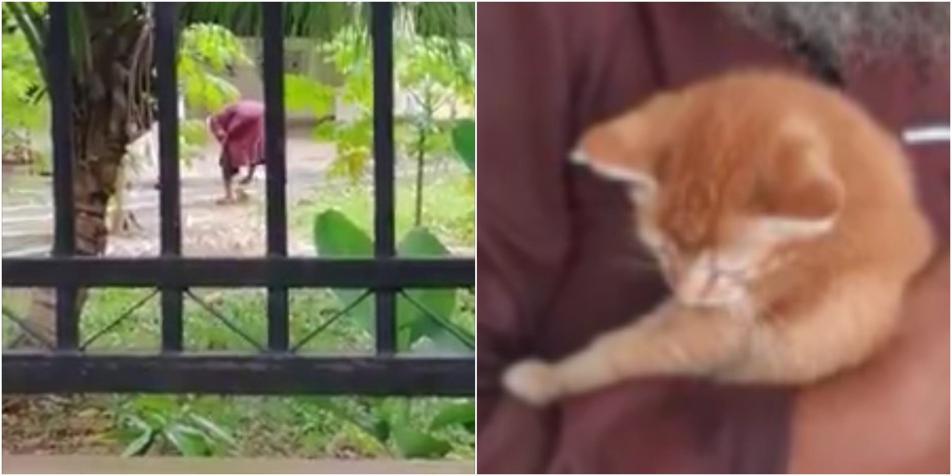 ‘Cuma Nak Takutkan Kucing Tu Je’ – Pihak Masjid Respon Video Viral Didakwa Hempas Kucing