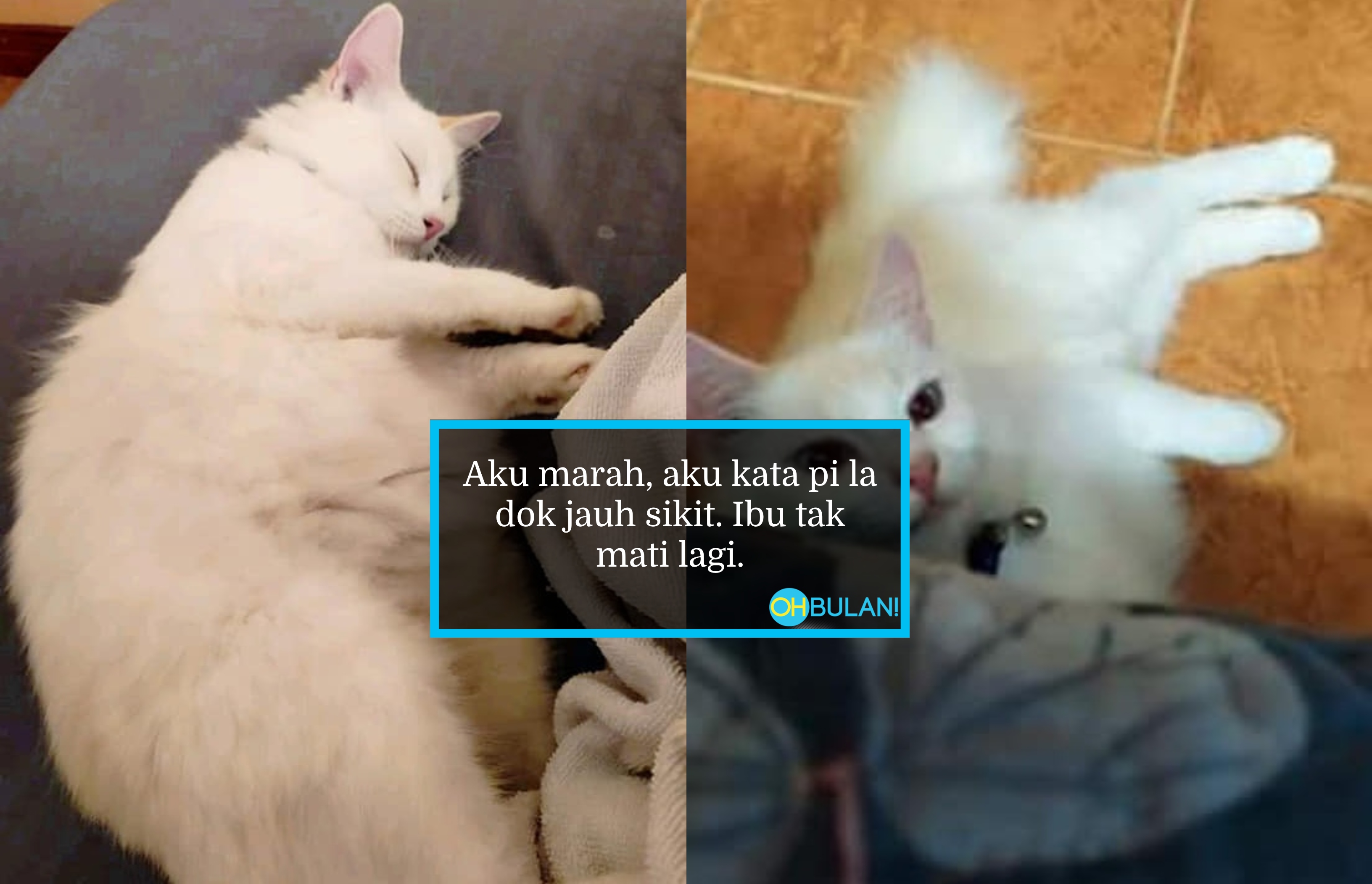 ‘Uteh Tak Mau Berenggang, Minum Ayaq Sisa Aku, Takut Aku Tinggai Dia’