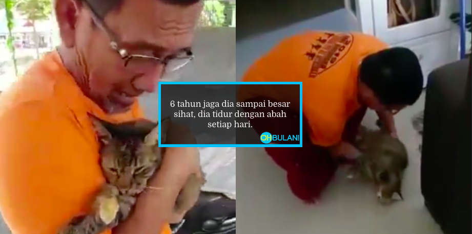 VIDEO] 6 Tahun Tidur Bersama, Abah Menangis Teruk Bila Kucing 