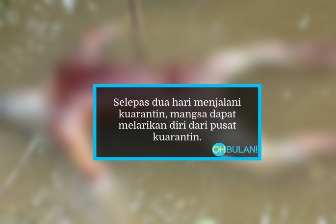 Mayat Lelaki Tertiarap Dalam Lombong Disyaki Warga Asing Lari Dari Pusat Kuarantin
