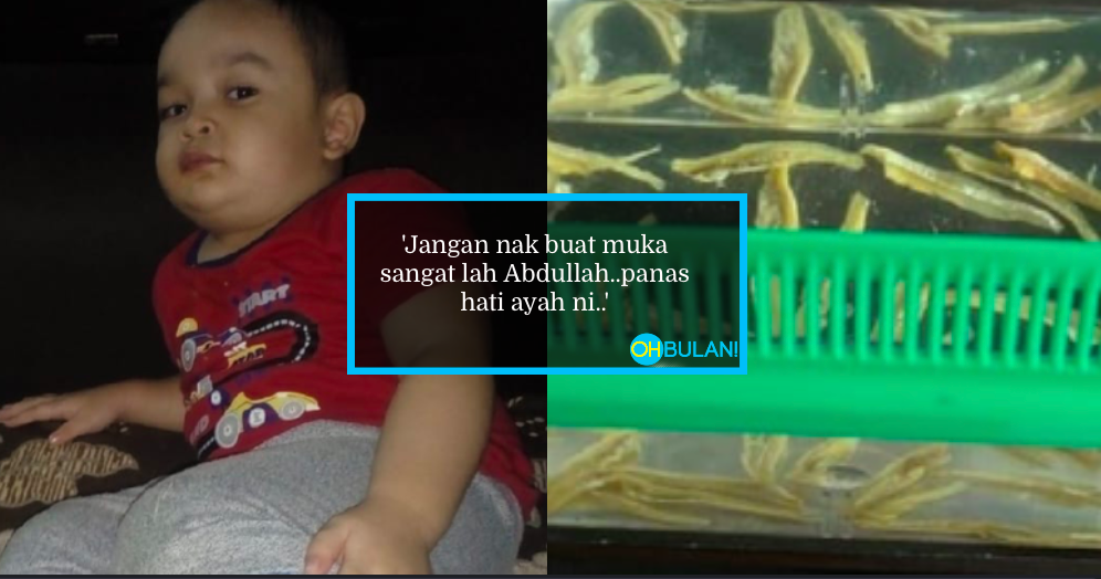 Ganti Ikan Laga Dengan Ikan Bilis, Bila Disoal Bapa..Ini Jawapan Lucu Anak 3 Tahun!