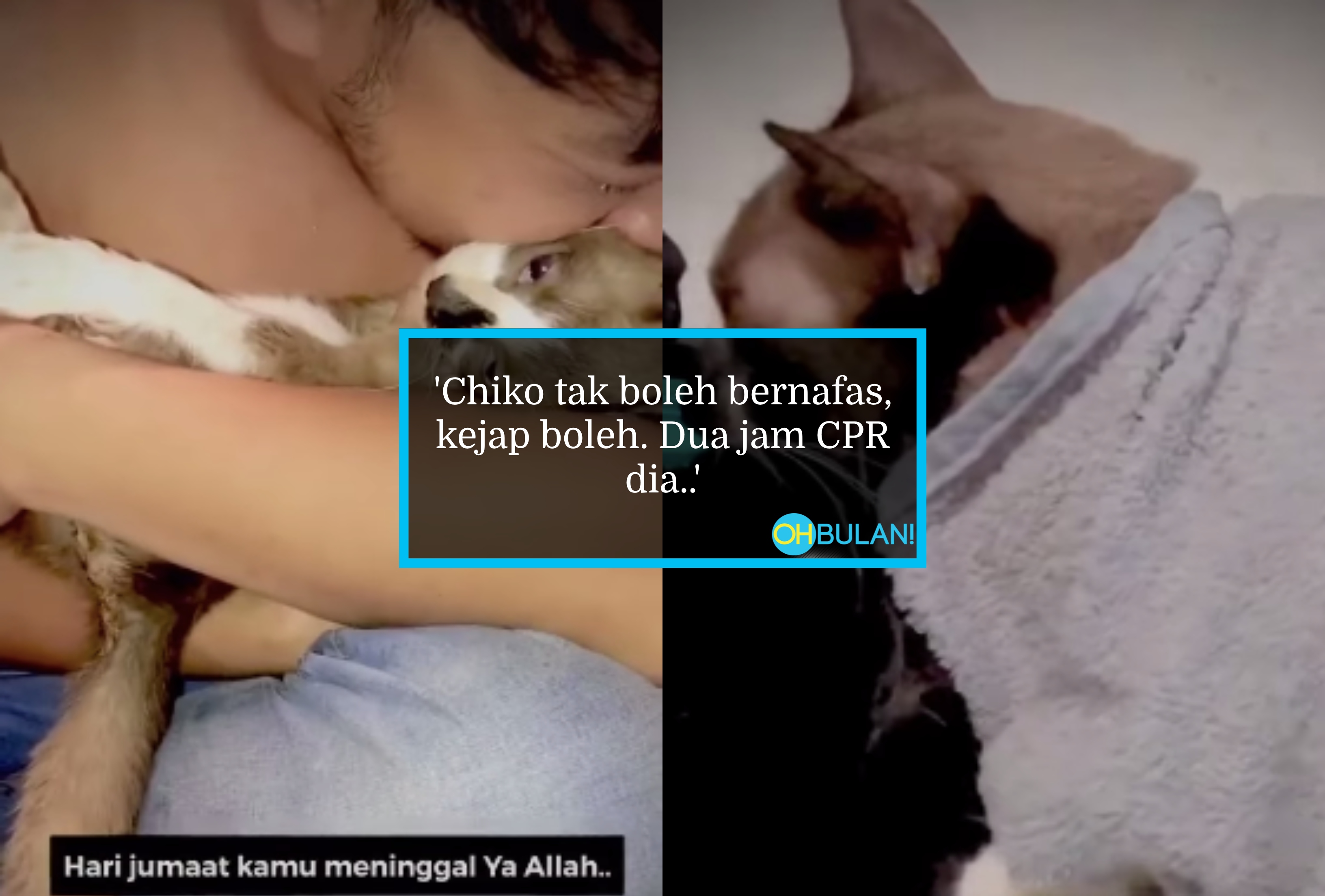 [VIDEO] Tumpah Air Mata Jantan Bila Kucing Kesayangan ‘Pergi’