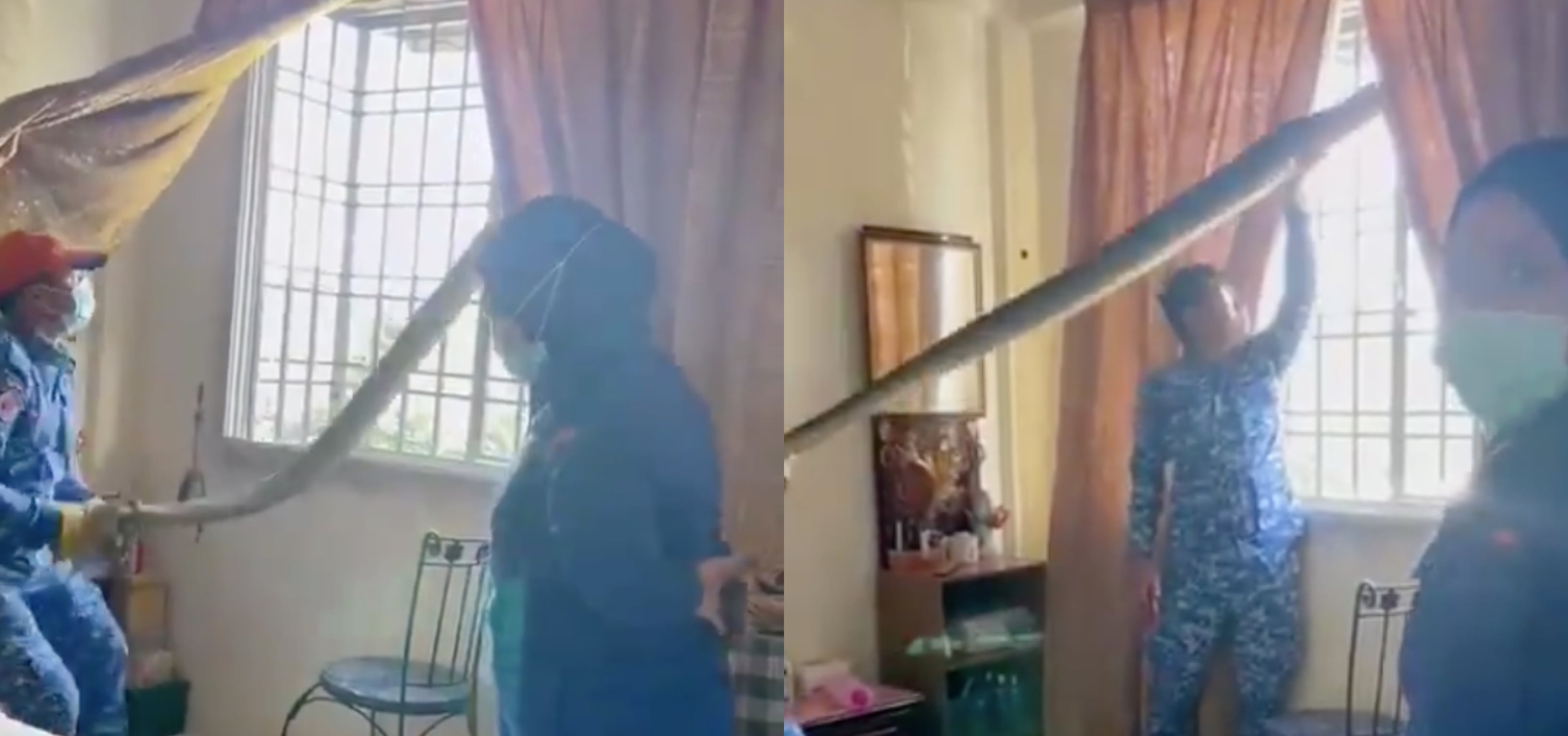 [VIDEO] Ular Besar Menyorok Dekat Tingkap, Abang JPAM Siap ‘Tarik Sis Semangko’ Lagi! Kelakar!