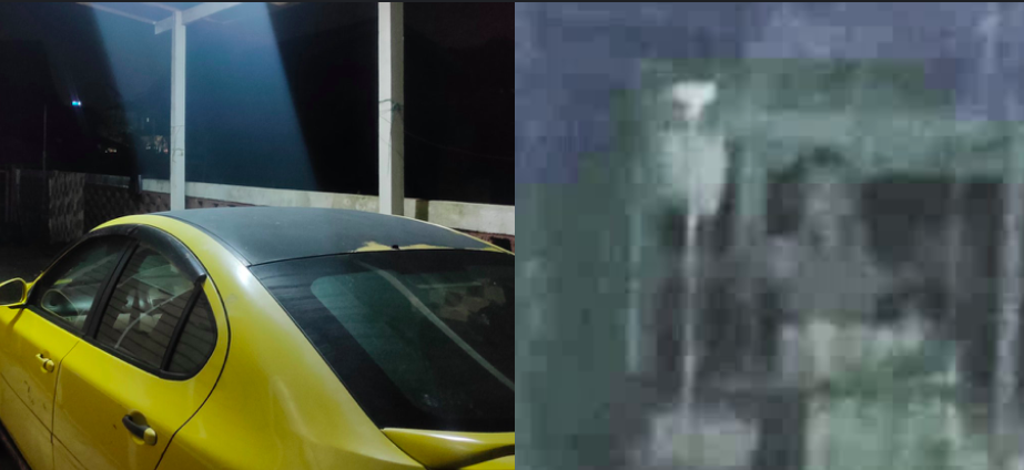 Anak Siapa Pula Mengendap Dekat Belakang Pagar Rumah Ni?