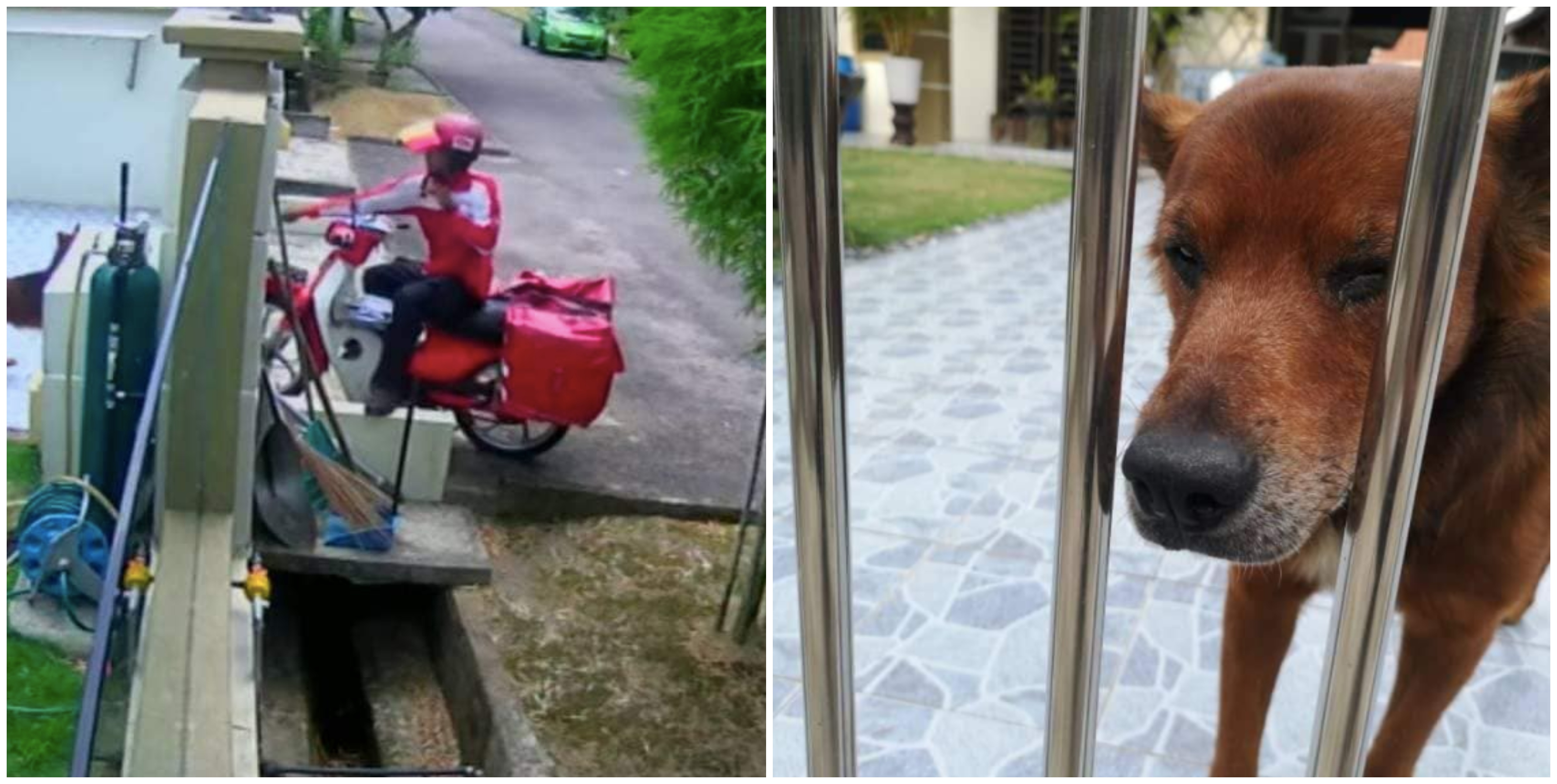 Posmen Lastik Anjing Digantung Tugas