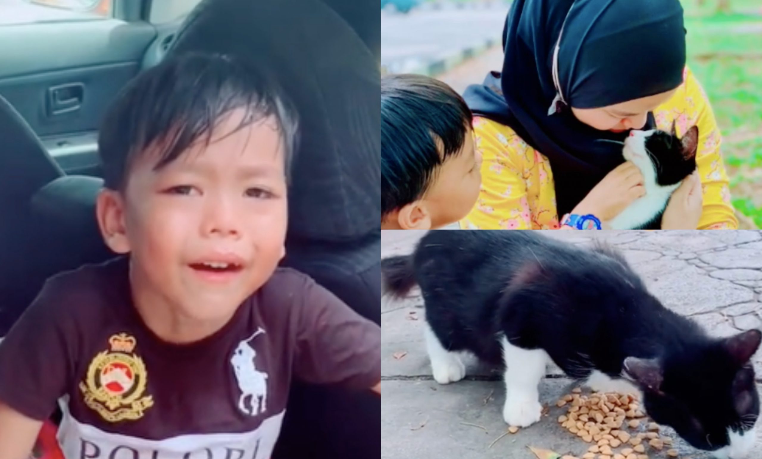 Punya Sayang Dekat Kucing, Pantang Jumpa Semua Nak Bawa Balik Sampai Ibu ‘Dilema’