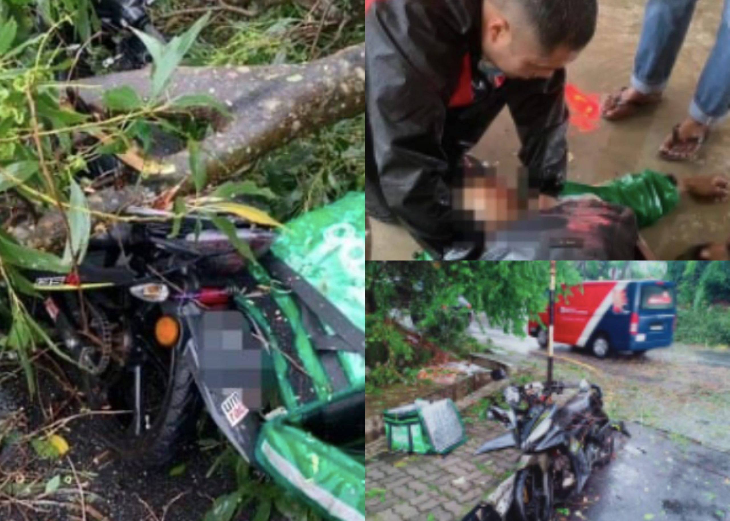 [VIDEO] Penghantar Makanan Maut Dihempap Pokok Tumbang