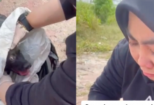 [VIDEO] Wanita Menangis Teresak-Esak Jumpa Anjing Kena ‘Jerut’ Dalam Guni, Ending Buat Netizen Tersentuh