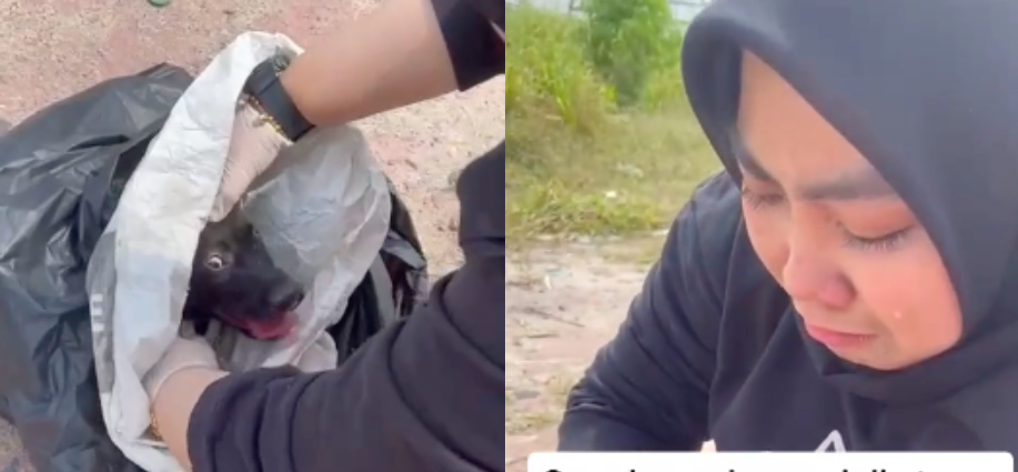 [VIDEO] Wanita Menangis Teresak-Esak Jumpa Anjing Kena ‘Jerut’ Dalam Guni, Ending Buat Netizen Tersentuh