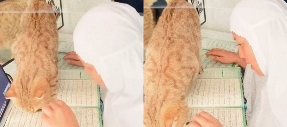 ‘Nanti Saya Minta Maaf Dengan Allah’ – Respon Nabila Huda Isu Kucing ‘Pijak’ Al-Quran