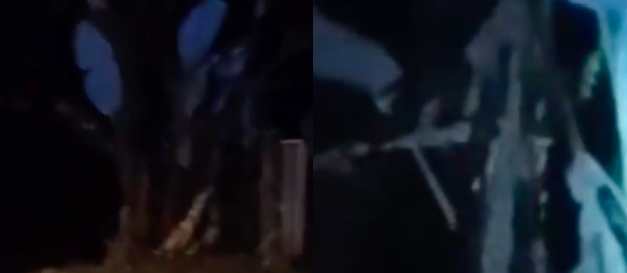 [VIDEO] Sekali ‘Dia’ Jeling & Lompat Ke Pokok Pisang Lain…Sumpah Seram Macam Tengok Movie!