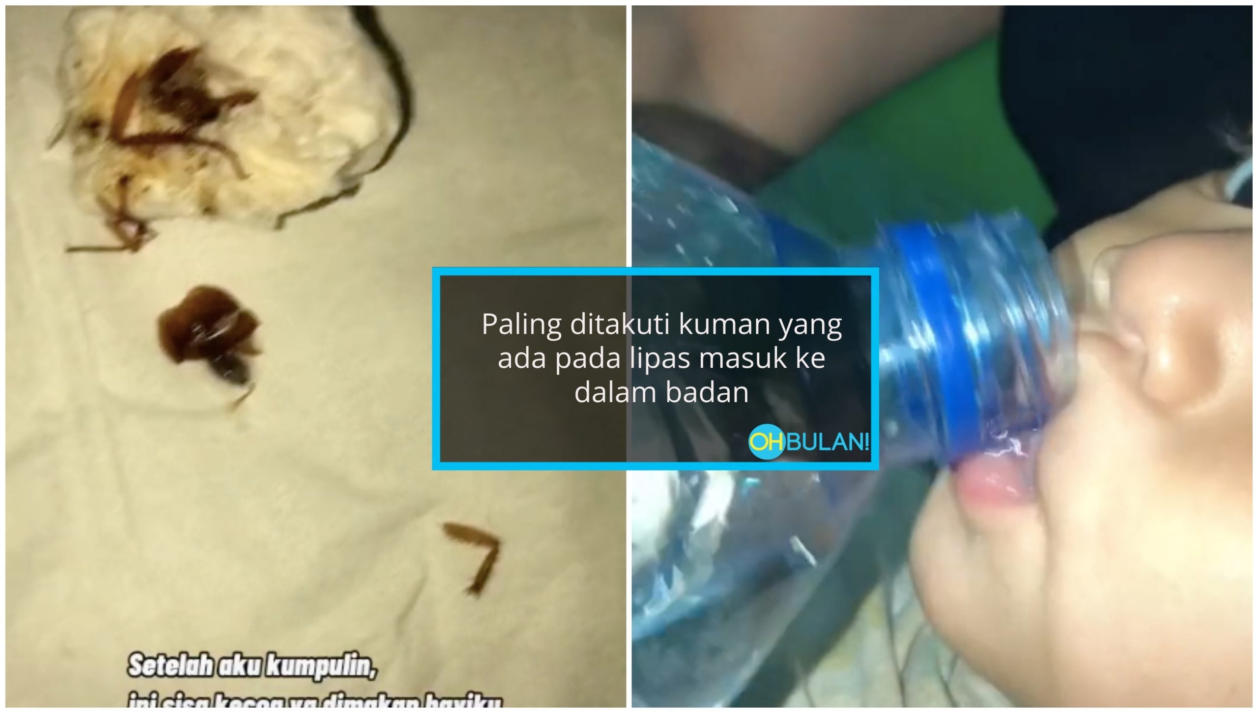 Ibu Panik, Tak Sedar Anak Kutip & Makan Lipas. Hanya Tinggal Kaki Je