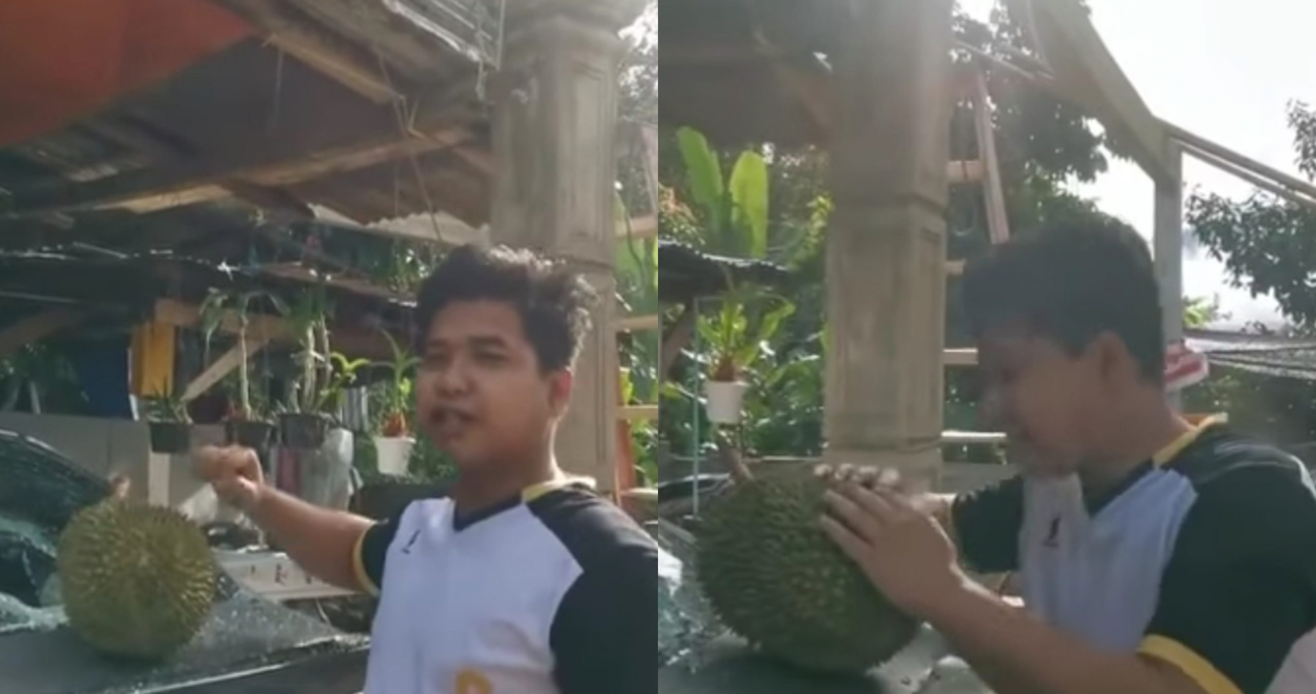 Viral Video Durian Jatuh Timpa Cermin, Lelaki Terkejut Menteri Nak Bantu