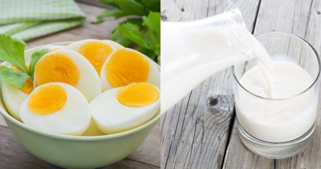 Susu VS Telur Semasa Sarapan, Mana Yang Korang Lagi Suka?