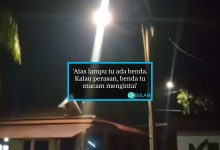 [VIDEO] Suara Tangisan Dipercayai ‘Penanggal’ Gemparkan Penduduk Di Melaka, Netizen Cakap ‘Itu Bunyi Musanglah’