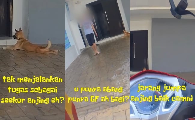 ‘Rider’ Pelik Anjing Tak Menyalak Masa Hantar Makanan, Sempat Tanya; ‘Dia Rosak Ke?’