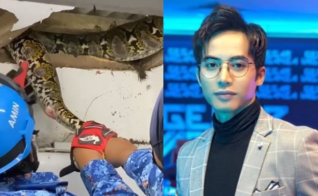 Dua Minggu Sembunyi Di Siling Tandas, Zoey Rahman Terkejut Rumah Keluarga ‘Dikunjungi’ Ular Sawa Seberat 50 Kilogram