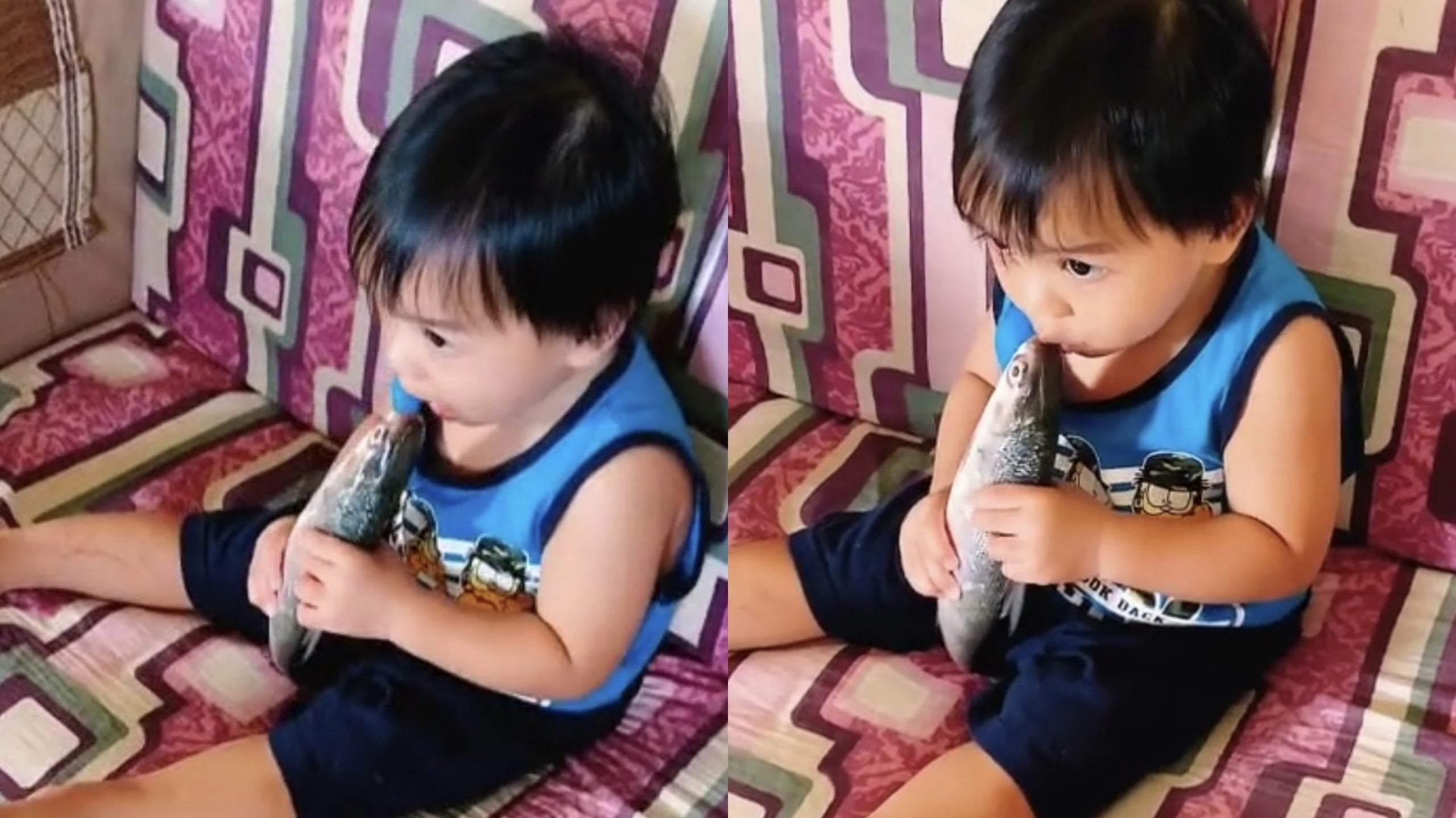 [VIDEO] Pelik Anak Diam Je, Ibu Terkejut Anak Tengah Buat ‘CPR’ Dekat Ikan Mentah