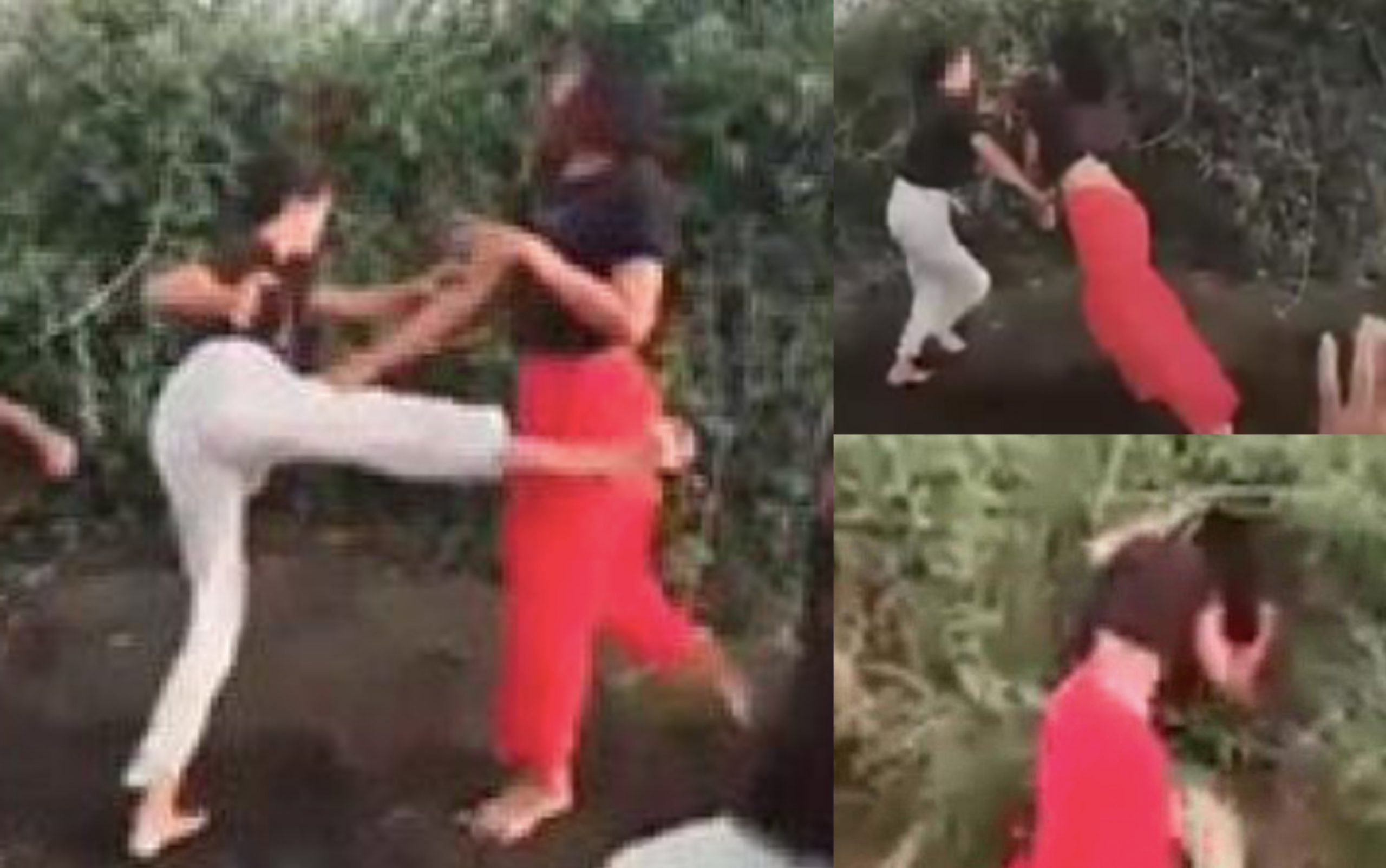 Viral Video Dua Gadis Bertumbuk Berebut Teman Lelaki – ‘Mereka Remaja Bawah Umur’