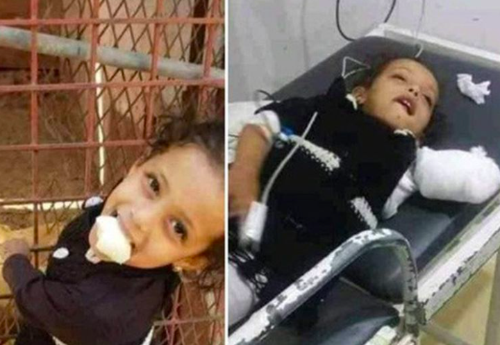 Lelaki Sibuk Ambil Gambar Tak Perasan Tangan Anak Kena Gigit Singa